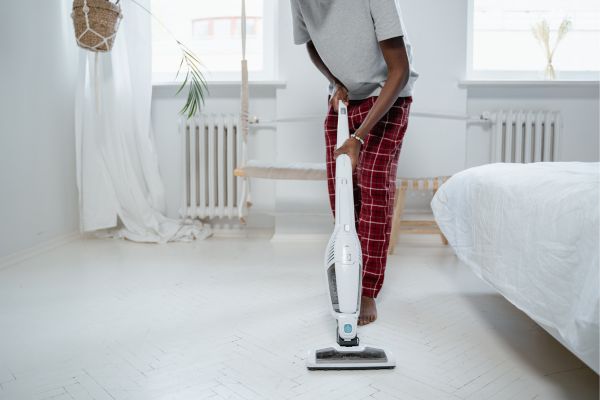 éradiquer punaises de lit aspirateur vapeur